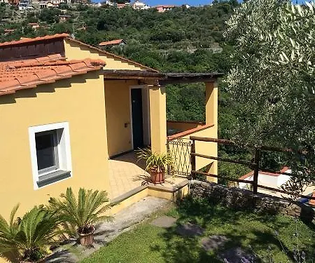 Palmero * アラッシオ