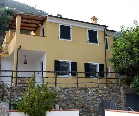 Palmero *