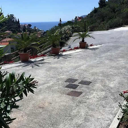 Palmero Αλάσιο