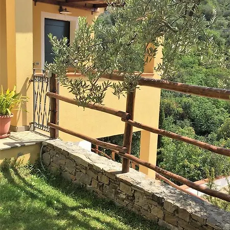 Palmero Αλάσιο