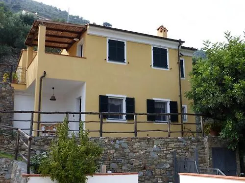 Palmero *
